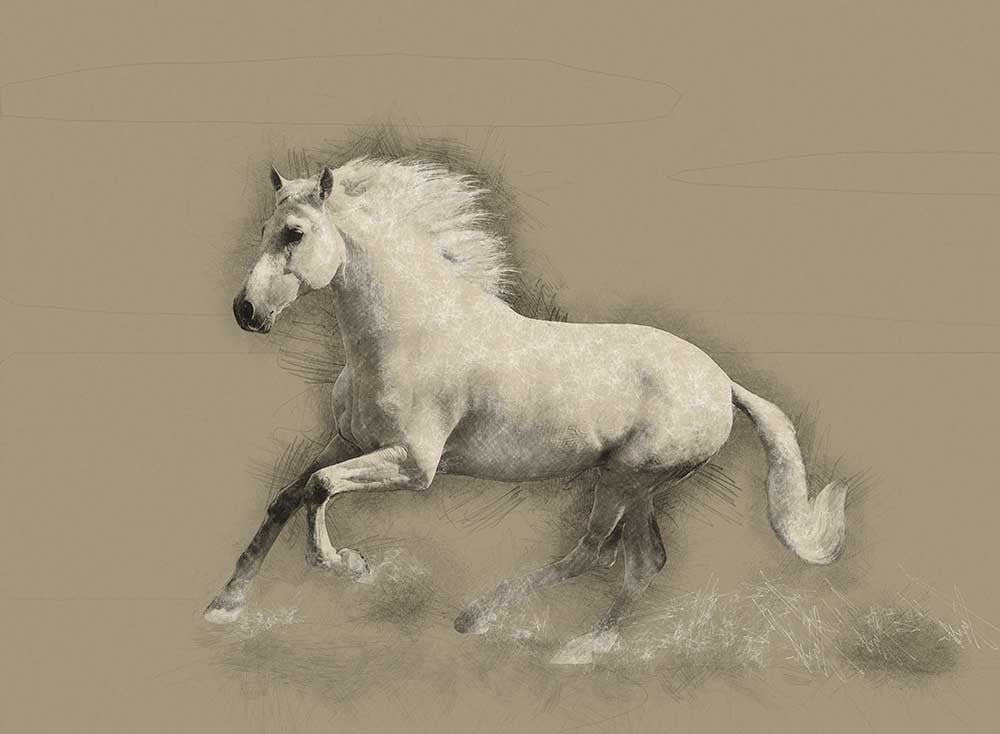 Horse Drawing Mural