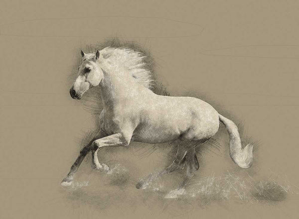 Horse Drawing Mural