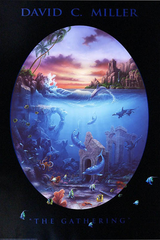 "The Gathering" Dolphin Poster - 24" x 36"