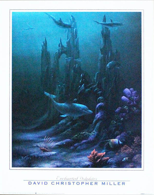 "Enchanted Dolphin" Poster - 16" x 20"