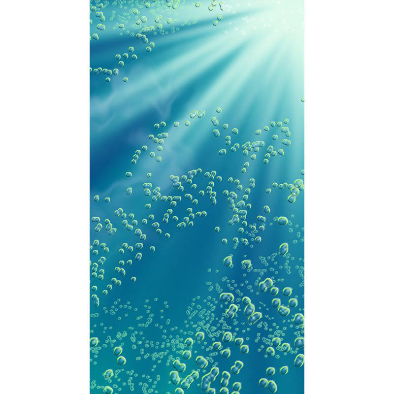 Underwater Door Mural 30" x 76"